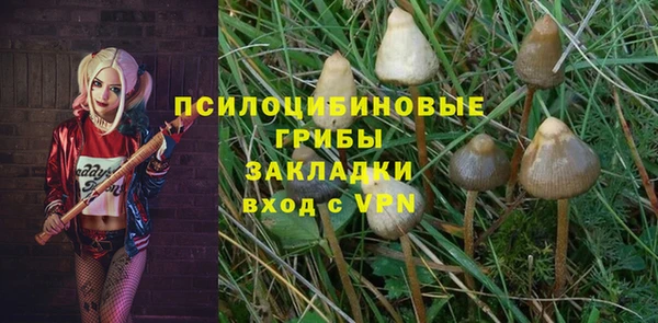 ешки Абаза