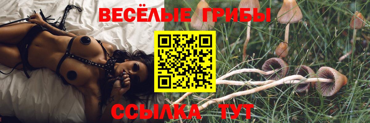 Галлюциногенные грибы ЛСД Кингисепп