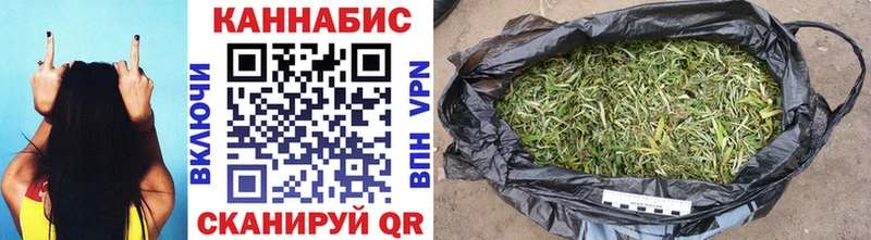 Бошки марихуана THC 21%  наркотики  Кингисепп 